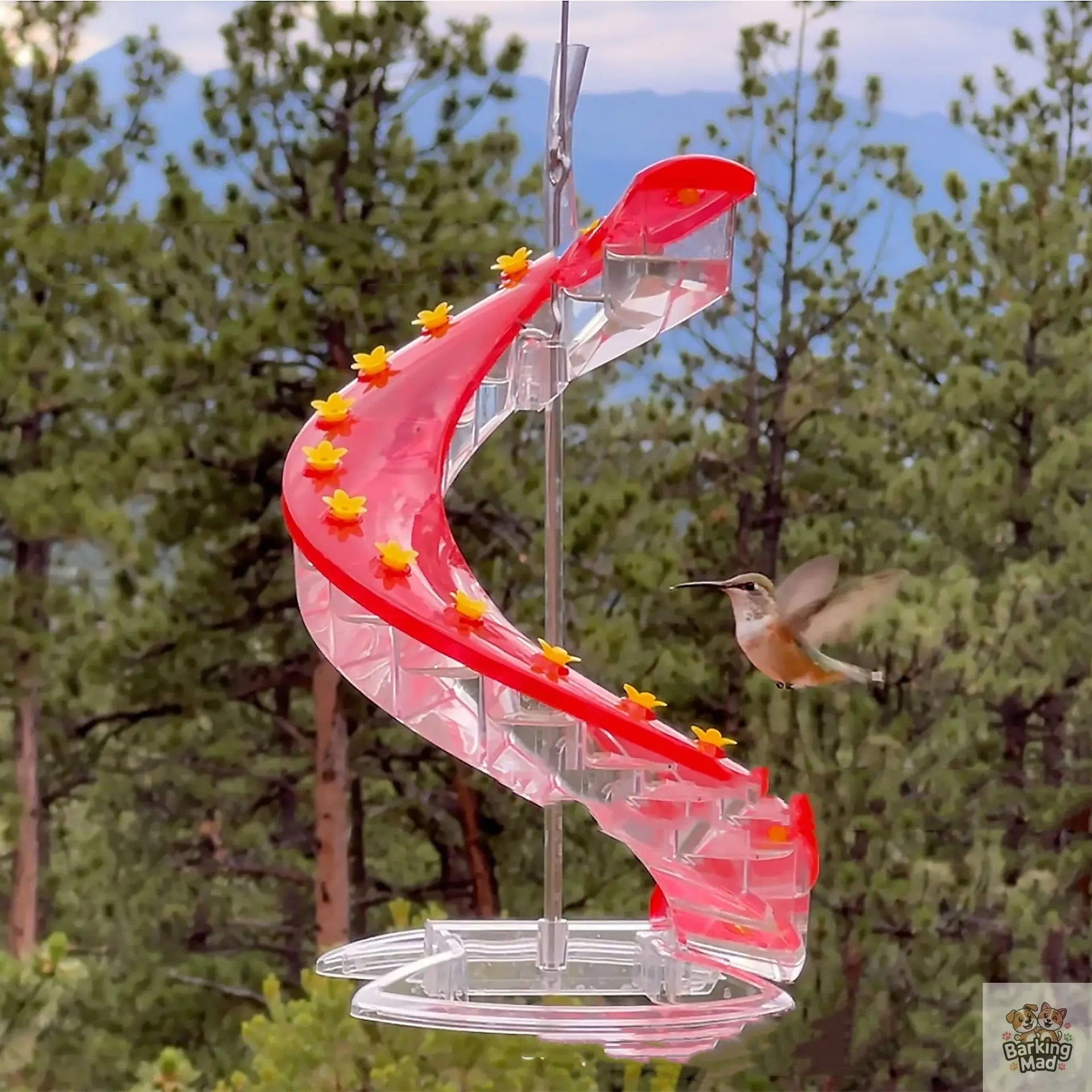Climbing Ladder Spiral Hummingbird Feeder Barking Mad