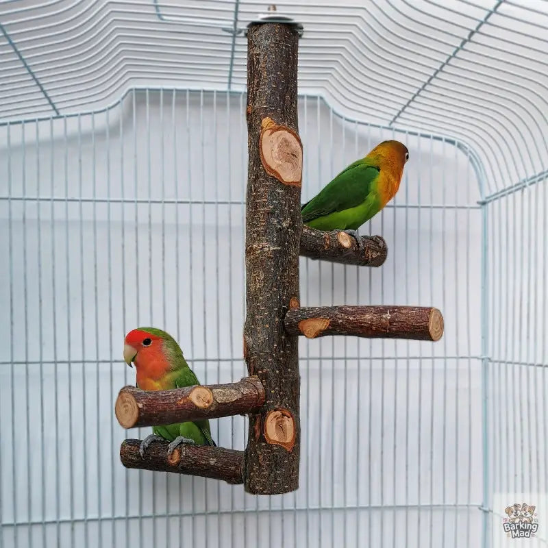 Parrot Bird Wood Stand Pole Toy Barking Mad