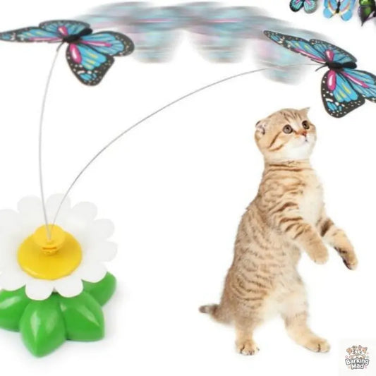 Electric Automatic Rotating Flower Pet Products - Barking Mad