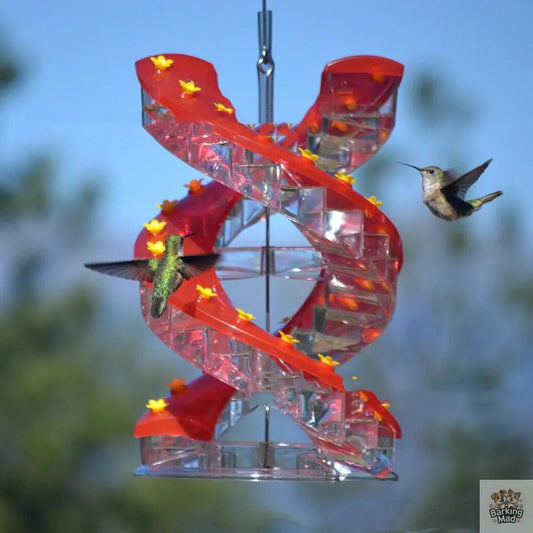 Climbing Ladder Spiral Hummingbird Feeder Barking Mad