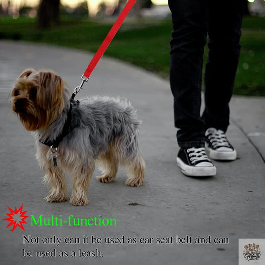 Pet safety leash Barking Mad