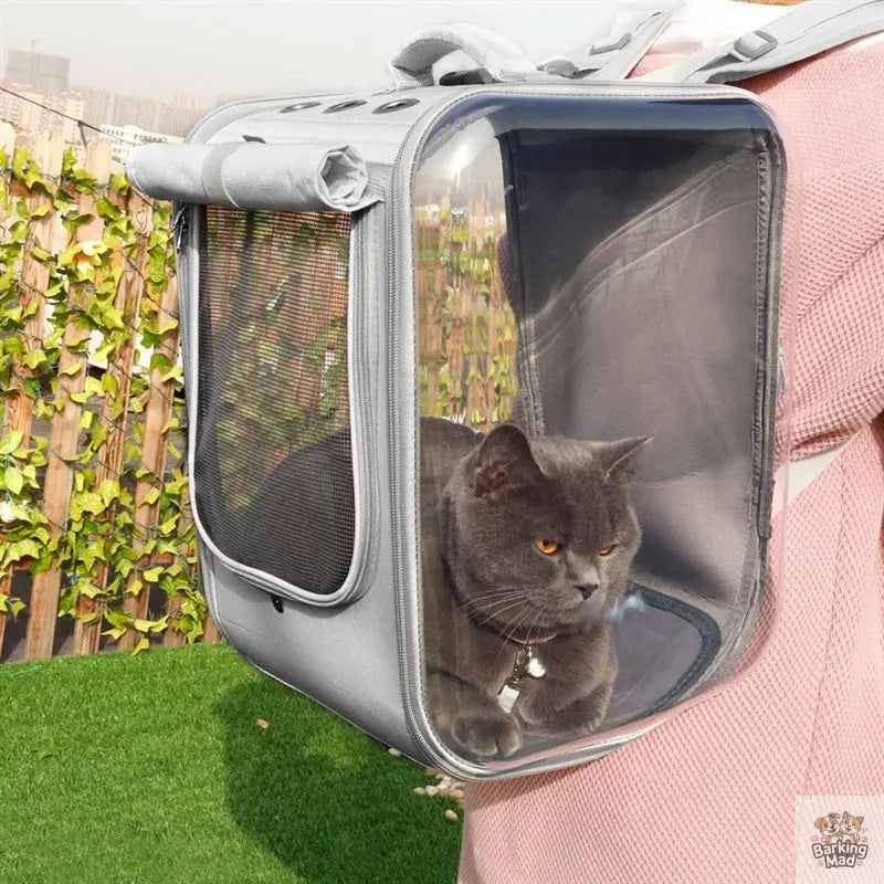 Pet Cat Carrier Backpack Breathable Cat Travel Outdoor Shoulder Bag For Small Dogs Cats Portable Packaging Carrying Pet Supplies - Barking Mad