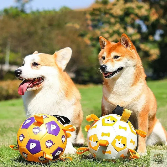 Dog Interactive Football Toys Children Soccer Dog Outdoor Training Balls Pet Sporty Bite Chew Teething Ball With Cute Printing - Barking Mad