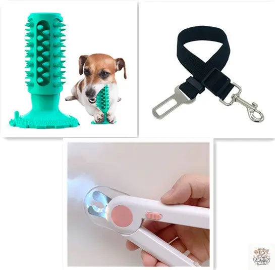 Teeth Cleaning Dog Toothbrush Sucker Molar Stick Dog Bite Toy - Barking Mad