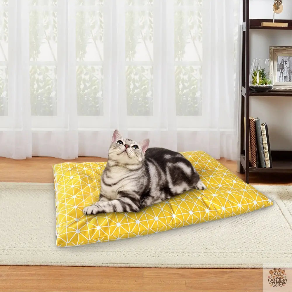 Winter Dog Bed House Soft Pet Dog Beds Mat Barking Mad