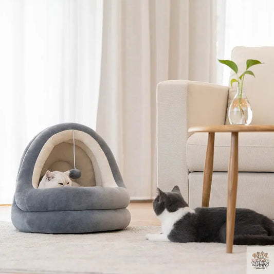High Quality Cat House Beds Kittens Pet Sofa Mats Barking Mad