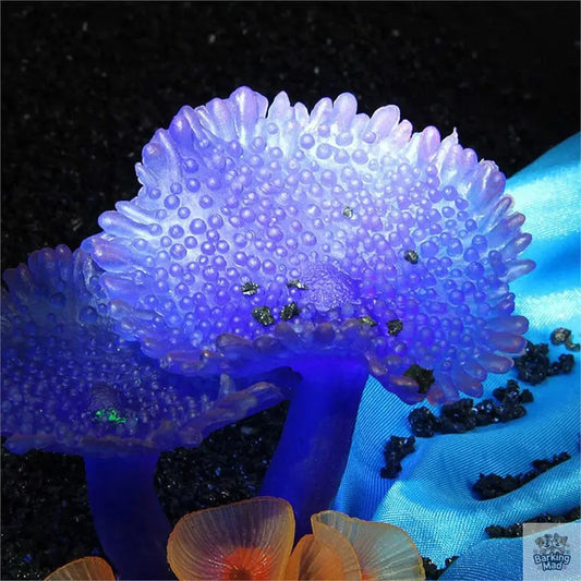 Simulation of coral plants Barking Mad
