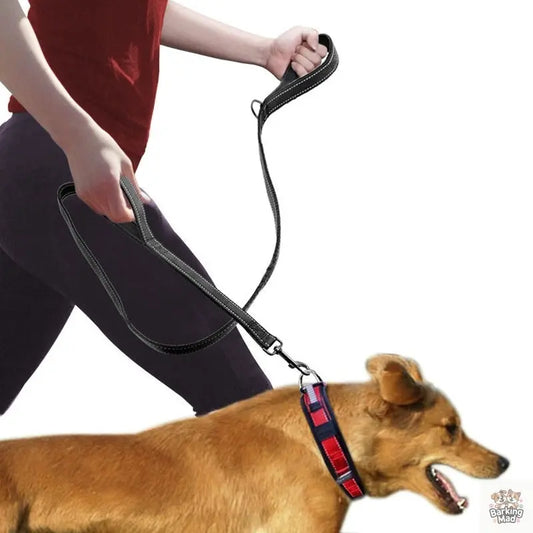 Pet Double Handle Pull Leash Barking Mad