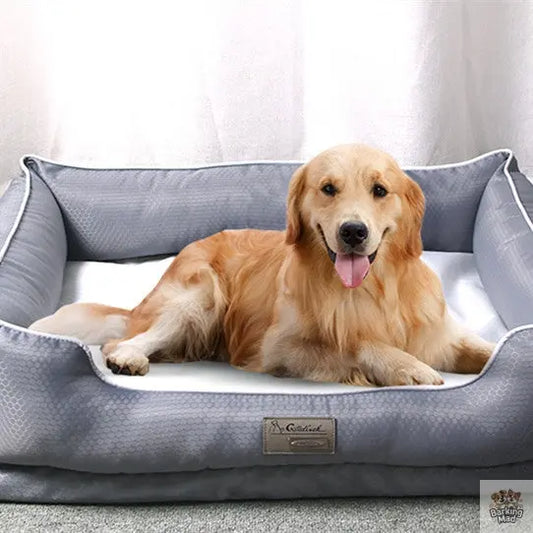 Removable Pet Litter Dog Beds Pet Supplies Barking Mad