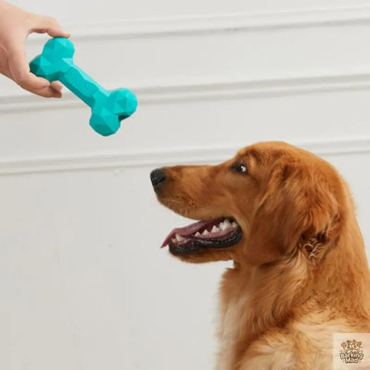 Pet Dog Teeth Grinding Bite Resistant Rubber Bone Toy - Barking Mad