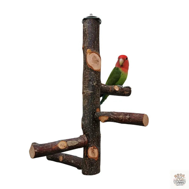 Parrot Bird Wood Stand Pole Toy Barking Mad