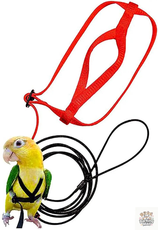 Parrot Flying With Flying Rope And Bird Harness Barking Mad
