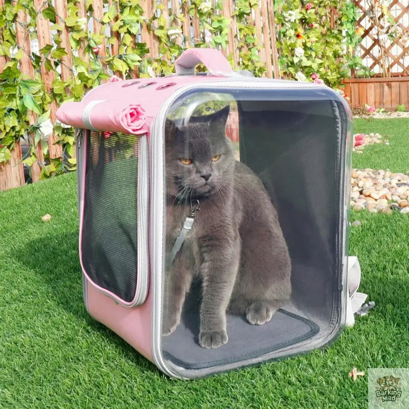 Pet Cat Carrier Backpack Breathable Cat Travel Outdoor Shoulder Bag For Small Dogs Cats Portable Packaging Carrying Pet Supplies - Barking Mad
