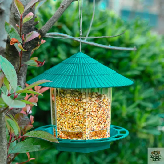 Outdoor Garden Hanging Transparent Bird Feeder Barking Mad
