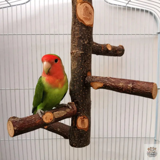 Parrot Bird Wood Stand Pole Toy Barking Mad