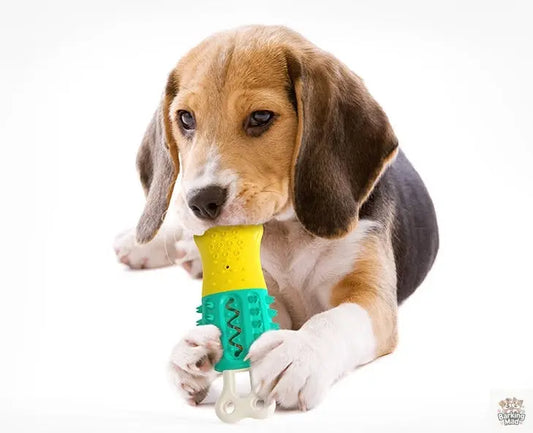 Summer Cooling Cleaning  Care  Teeth Pet Chewing Supplies - Barking Mad