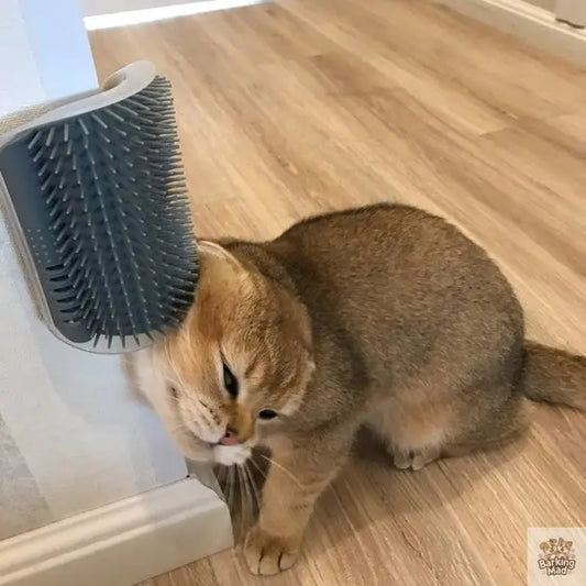 Cat Self-Grooming Brush Pet Wall Rubbing Device Barking Mad