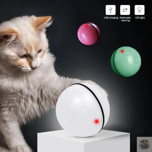 LED Laser Electronic Rolling Pet Funny Cat Toy Ball - Barking Mad